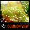 Blades of Grass - Hz., Epifania & Funcc. lyrics