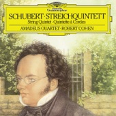 Schubert: String Quintet in C, D.956 artwork