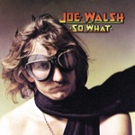 Joe Walsh - Turn To Stone