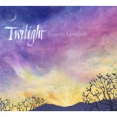 Twilight artwork