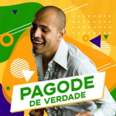 Homenagem a Zeca Pagodinho (feat. Zeca Pagodinho) artwork