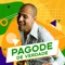 Homenagem a Zeca Pagodinho (feat. Zeca Pagodinho) artwork