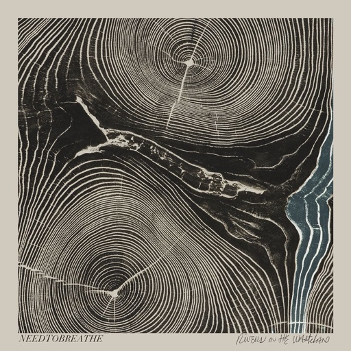 Art for Difference Maker by NEEDTOBREATHE