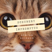 Schubert: Impromptus D. 899 & D. 935 artwork