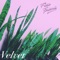 Velvet - Fickle Friends lyrics
