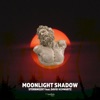 Moonlight Shadow (Extended Mix) [feat. David Schwartz] - Single