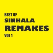 Best of Sinhala Remakes Vol. 1 artwork