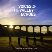 Voices of the Valley: Echoes artwork
