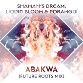 Abakwa (Future Roots Mix) artwork