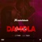 Damola (feat. Cityman & Lil Touch) - Marshallzbeatz lyrics