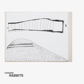 Chasing Rabbits artwork