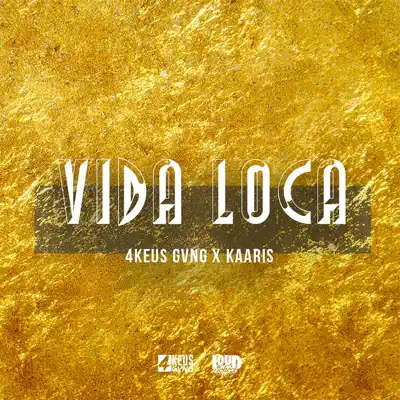 Vida Loca - Single - Kaaris