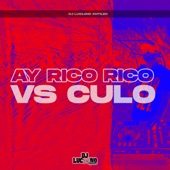 Ay Rico Rico Vs Culo artwork