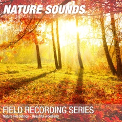 Nature Sounds & Nature Noise - Nature Sounds for Sleep, Relaxation & Meditation (Beautiful woodland) 04
