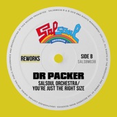 You're Just the Right Size (Dr Packer Rework) - Single