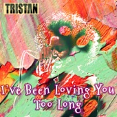 I've Been Loving You Too Long artwork