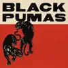 Black Pumas (Expanded Deluxe Edition) album lyrics, reviews, download