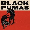 Black Pumas (Expanded Deluxe Edition)
