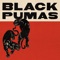 Know You Better - Black Pumas lyrics