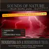Thunderstorm, Rain and Thunderstorm By the Sea (Sounds of Nature: 3x23 Min Long Recordings In 1 Track) album lyrics, reviews, download