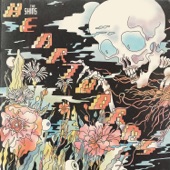 The Shins - Painting a Hole