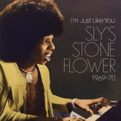 I’m Just Like You: Sly’s Stone Flower 1969-1970 - Various Artists