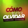 Cómo Te Voy a Olvidar - Single