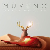 Unknown Star artwork