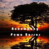 Accompany - EP artwork