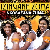 Nkosazana Zuma artwork