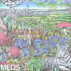 Meds - EP (1) by Mt. Eden album reviews, ratings, credits