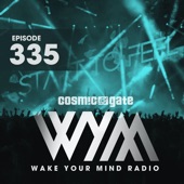 Wake Your Mind 335 artwork