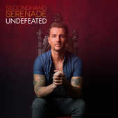 Secondhand Serenade - Let Me In Lyrics