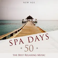 Spa Days - Enjoy Bathing in the Warm Thermal Waters with the Best Relaxing Music for Spas coupled with the Soothing Sounds of Nature by Shakuhachi Sakano & Deep Sleep Meditation album reviews, ratings, credits