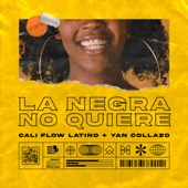La Negra No Quiere artwork