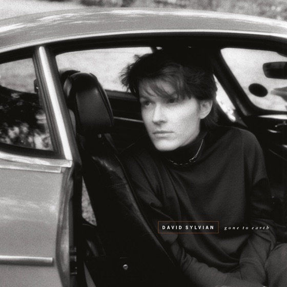 Cover artwork for River Man