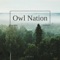 Owl Vision - Owl Nation lyrics