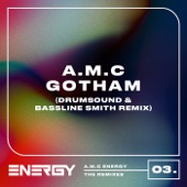 Gotham (Drumsound & Bassline Smith Remix) artwork