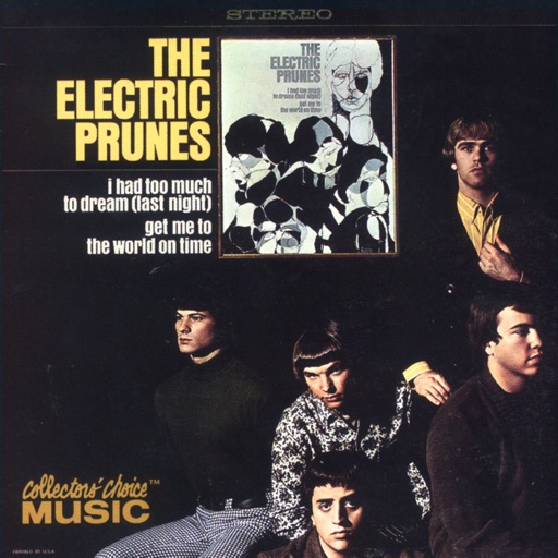 The Electric Prunes - I Had Too Much to Dream