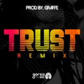 Graffe - Trust (Remix)