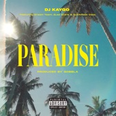 Paradise (feat. DreamTeam, 2Lee Stark & Quickfass Cass) artwork