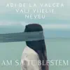 Am Sa Te Blestem - Single (feat. Vali Vijelie & Neveu) - Single album lyrics, reviews, download