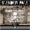 Wake Me When It’s over... - Single