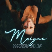 Waterproof artwork