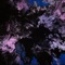 Enlight - Louiejayxx lyrics