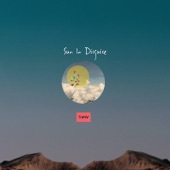 Sun in Disguise artwork