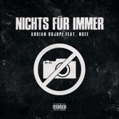 Nichts für Immer (feat. NGEE) artwork