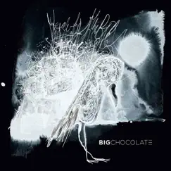 Beauty of the Bird by Big Chocolate album reviews, ratings, credits