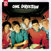 What Makes You Beautiful - One Direction Cover Art