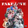 Fake Love (Deluxe Version) album lyrics, reviews, download